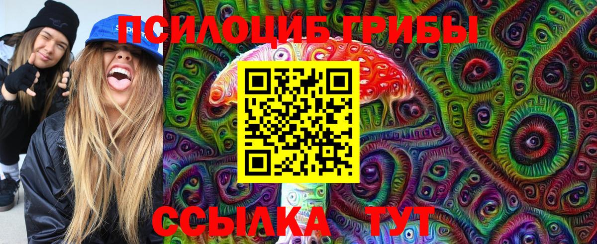 Галлюциногенные грибы Cubensis  Вход с VPN  Гурьевск 