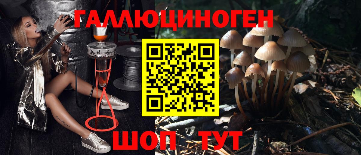 Галлюциногенные грибы Magic Shrooms Гурьевск