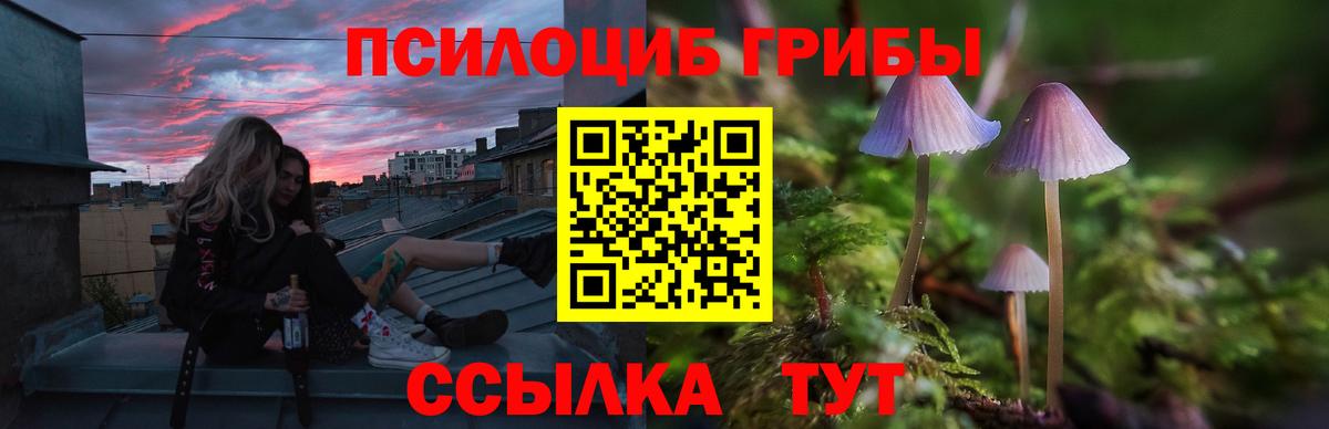  КОКАИН Гурьевск